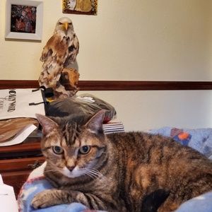 Meet your Posher, Jodie